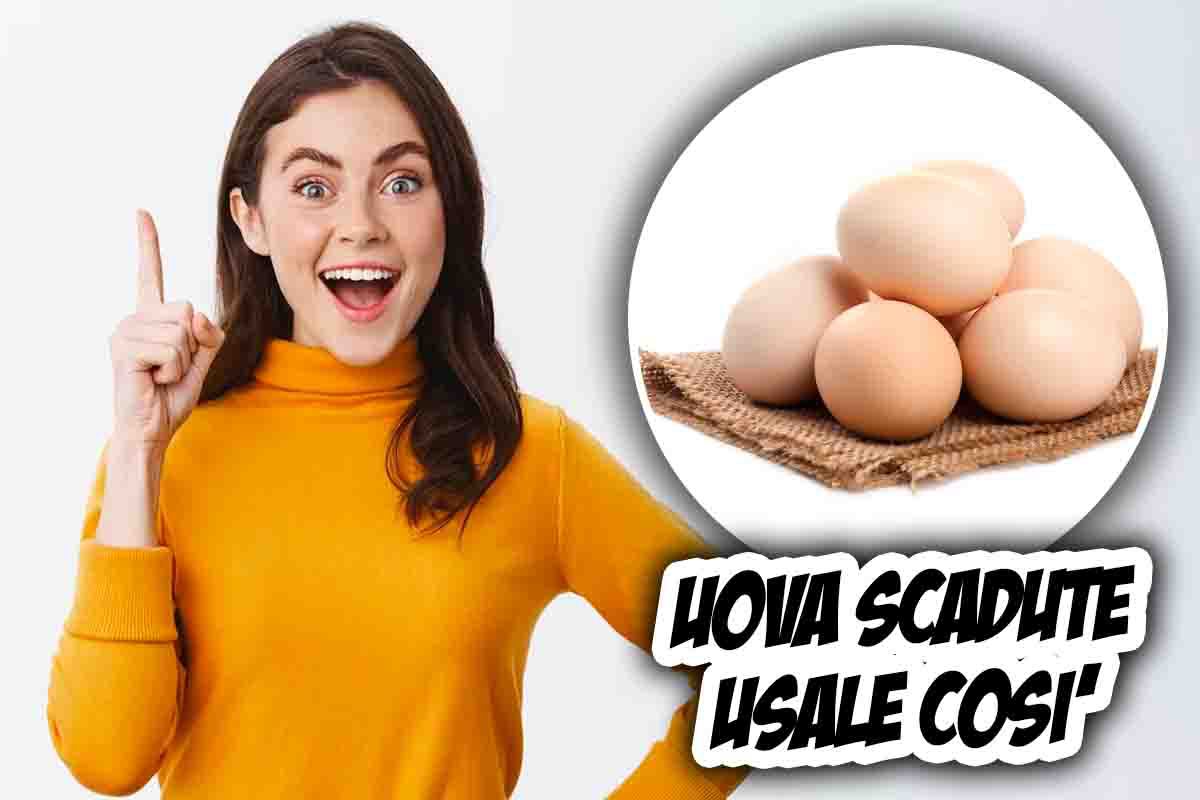 Uova scadute: come riutilizzarle