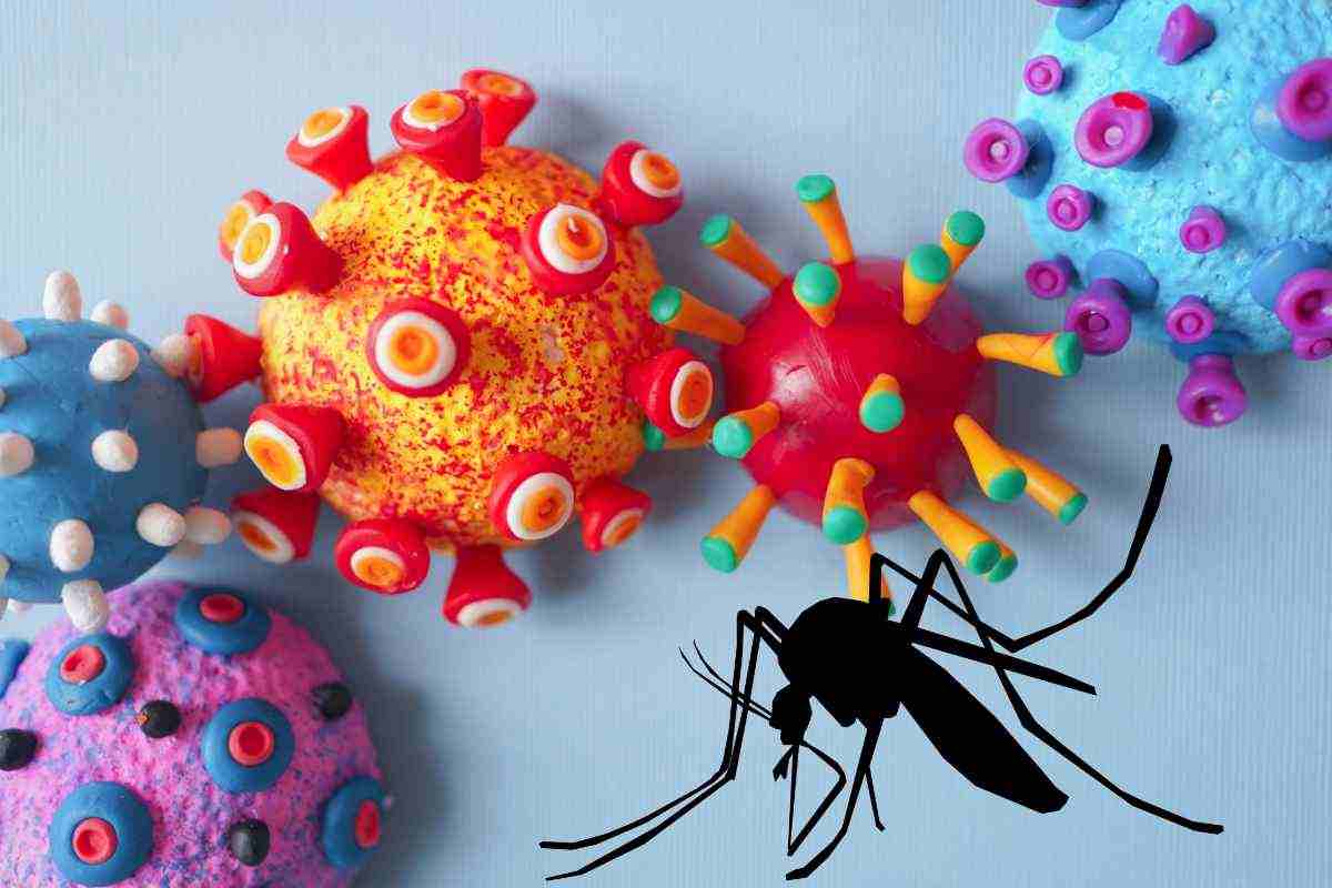virus zanzara culex