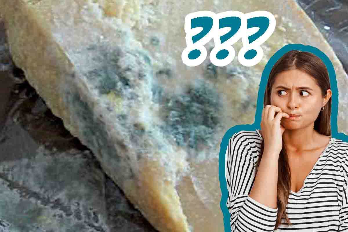 Il formaggio grattugiato ammuffisce spesso-come evitarlo?