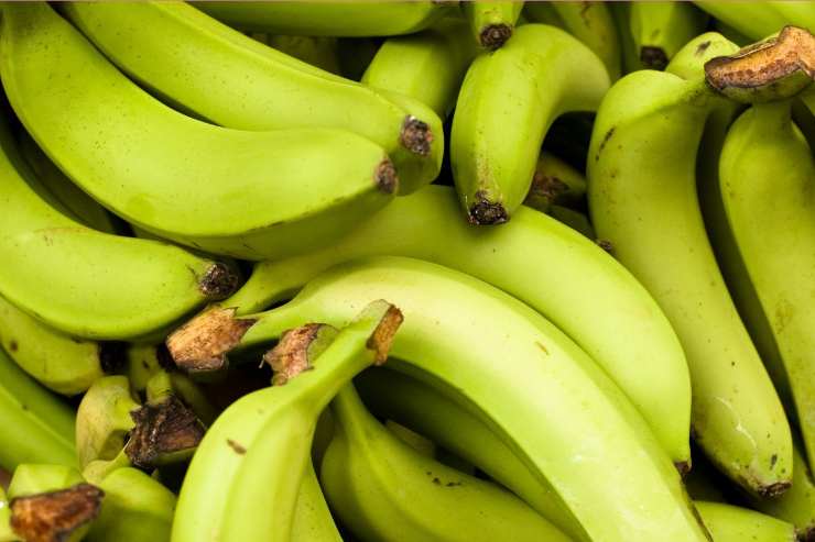 quali banane fanno bene