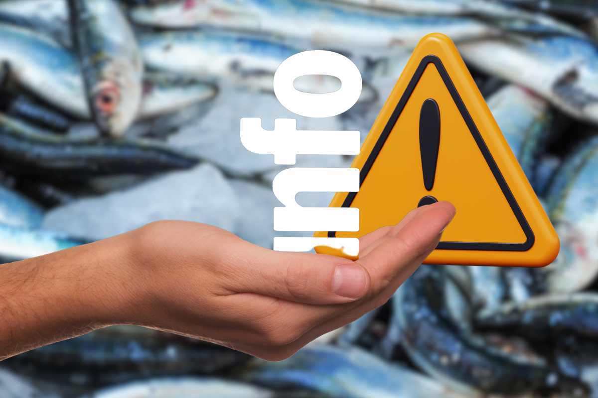 pesce contaminato: i rischi