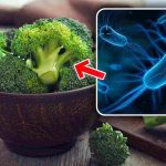 Il trucco per broccoli pronti e puliti